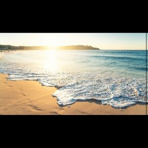 Meet your Posher, Allie